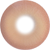 琉璃棕